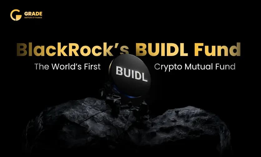 BlackRock BUIDL Fund India: Tokenized Mutual Fund Guide 2026